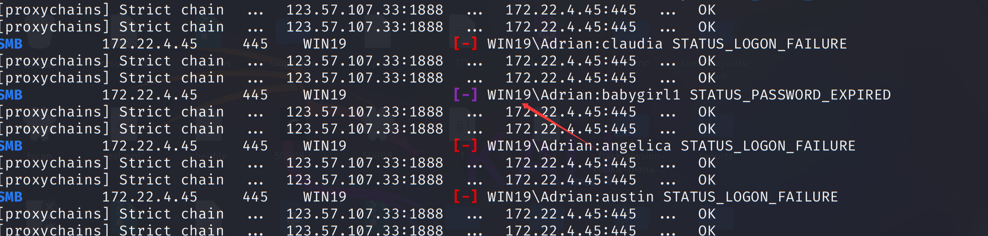 image-20251204144954907